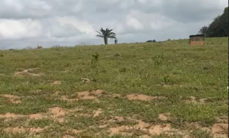 Yopougon Andokoi