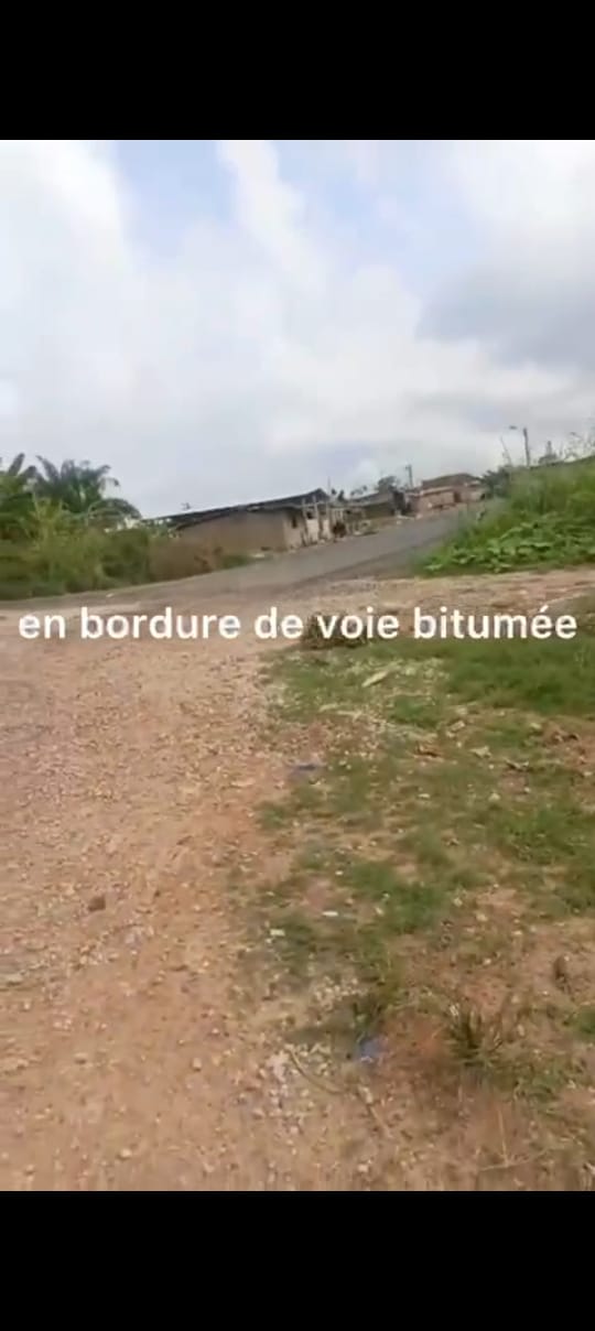 Terrain a Agboville (Ery-Makouguié 1)