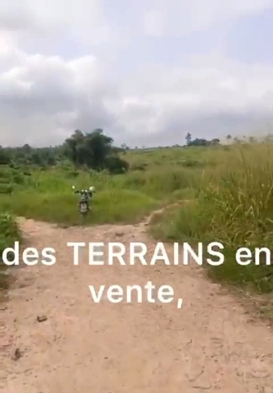 Photo bien